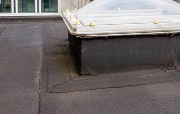disadvantages of Coed Talon flat roofs