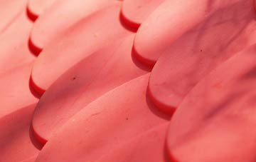 Coed Talon plastic roof costs