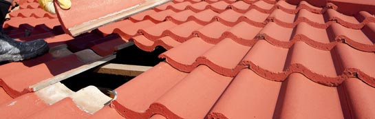 compare Coed Talon roof repair quotes
